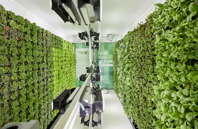 Vertical Field’s Urban Crops offers an ideal alternative to traditional agriculture. (photo credit: VERTICAL FIELD)