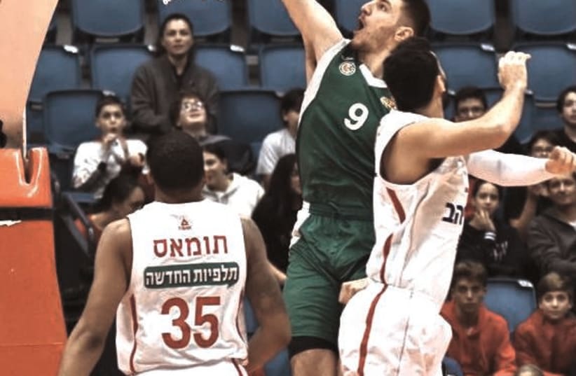 VERSATILE HOOPSTER Roman Sorkin is a threat both inside and outside the paint and Maccabi Haifa hopes to ride the Israeli big man to success this season. (photo credit: DOV HALICKMAN PHOTOGRAPHY)