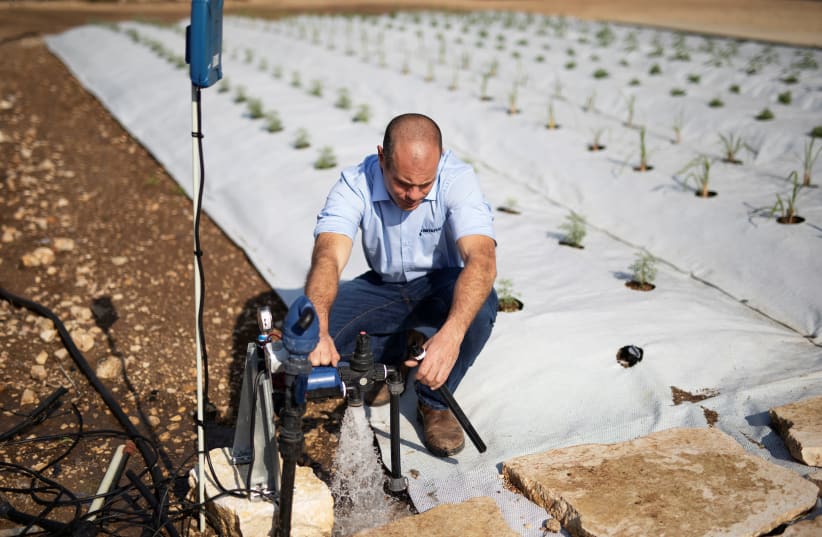 An employee from Netafim kneels beside an irrigation system at a research center where the company develops more efficient methods to water crops in Kibbutz Magal, Israel November 30, 2020. (photo credit: AMIR COHEN/REUTERS)