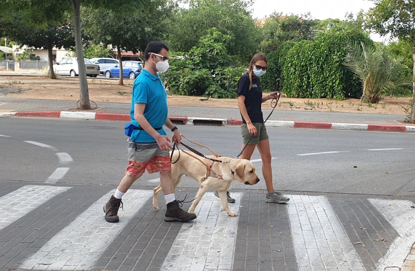 Eldad Davidovich walks with his new guide dog Mirvis together with his trainer (photo credit: Courtesy)