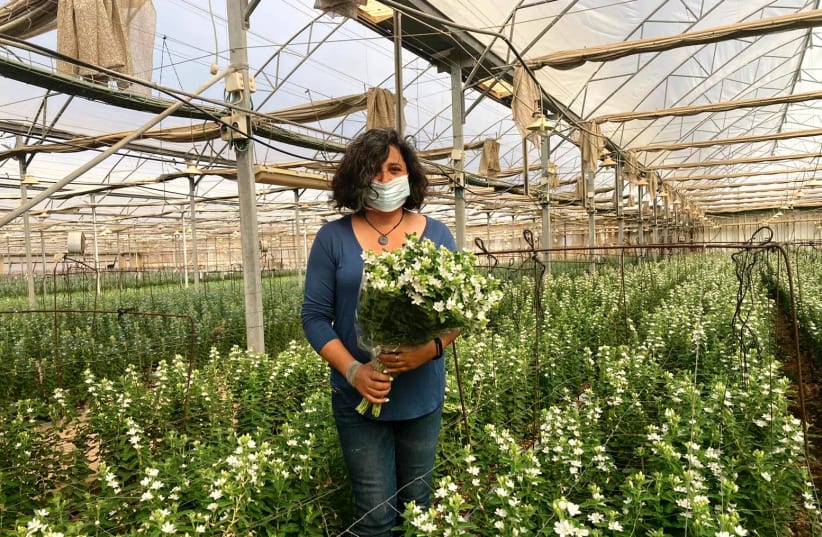 Maayan Kitron, head of Arava Development's flower department for the middle and upper Arava (photo credit: ARAVA DEVELOPMENT INSTITUTE)
