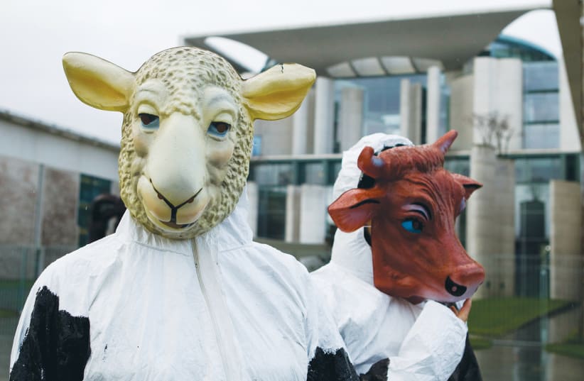 DEMONSTRATORS WEAR a sheep and a cow mask to protest kosher and halal slaughter, at the German Chancellery in Berlin in 2012. (photo credit: THOMAS PETER/REUTERS)