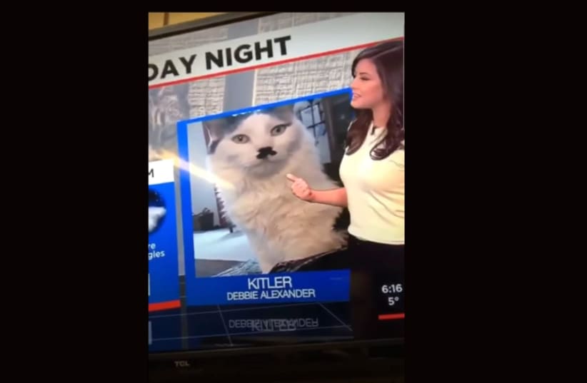 Alena Lee gave a shoutout to "Kitler" on her Saturday night weather broadcast. She apologized the next day.  (photo credit: JTA)