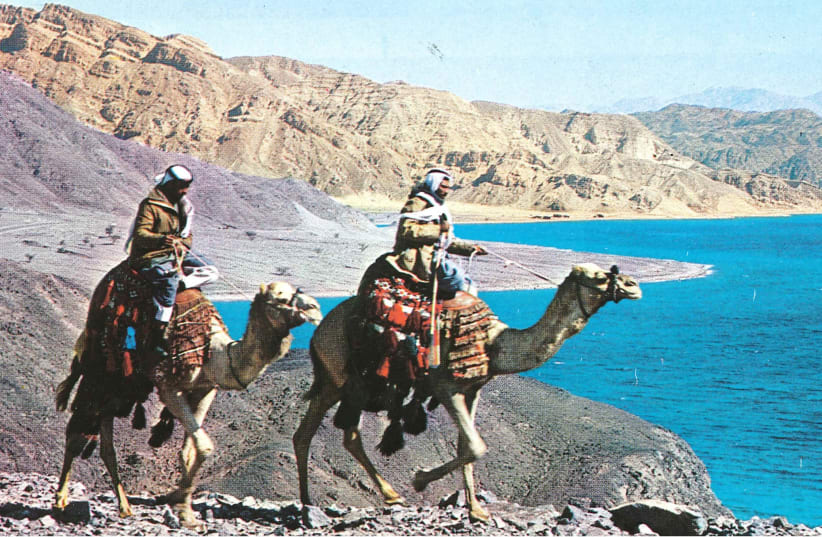 Bedouin riders at the Gulf of Eilat (photo credit: DR. CLINTON BAILEY)