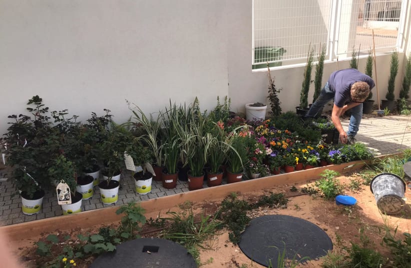 Gardening by Ebay Israel employees on Good Deeds Day (photo credit: YEHOSHUA LEIB)