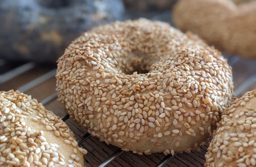Bagels with sesame seeds (illustrative) (photo credit: SHISMA/WIKIMEDIA COMMONS)