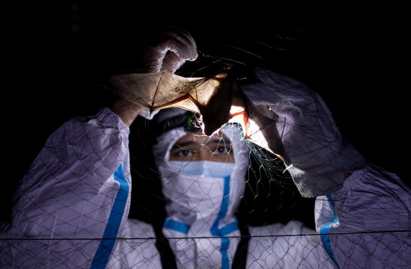 Kirk Taray, a bat ecologist (photo credit: ELOISA LOPEZ/ REUTERS)
