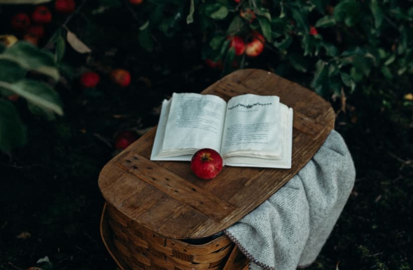 An apple tree. ‘ Apple’ was the ancient name for any kind of fruit. (photo credit: LIANA MIKAH ON UNSPLASH)