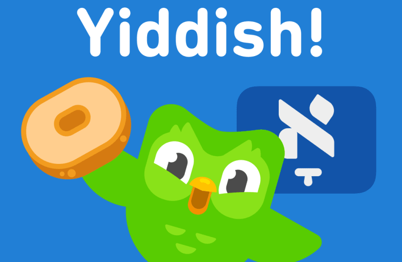 Learn Yiddish on Duolingo.  (photo credit: Courtesy)