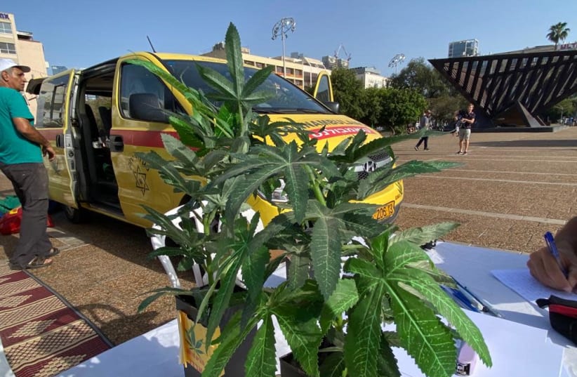 Hundreds of Israelis gather in Rabin Square in Tel Aviv on April 20, 2021to protest in favor of cannabis legalization and for reforms in the medical cannabis market. (photo credit: AVSHALOM SASSONI/ MAARIV)