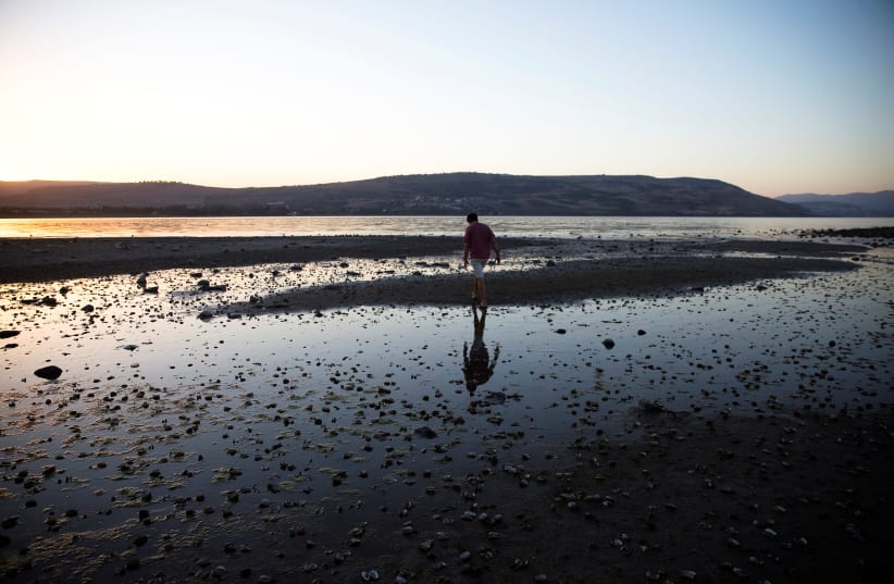 Man walks towards an island that has materialized at the southern edge of the Sea of Galilee.  (photo credit: REUTERS)