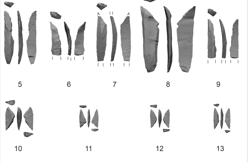 Microliths and microburins from the Ein Gev sites. Figure created with Artifact3-D  at the Computational Archaeology Laboratory, Hebrew University of Jerusalem. (photo credit: COMPUTATIONAL ARCHAEOLOGY LABORATORY/HEBREW UNIVERSITY OF JERUSALEM)