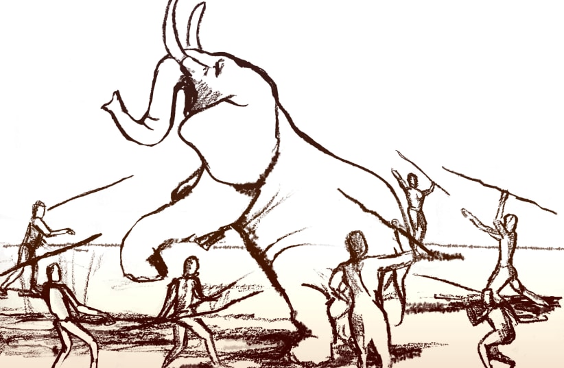 Suggested reconstruction of elephant hunting by using close-range thrusting spears. (photo credit: DRAWING BY DANA AKERFELD. COURTESY OF PROF. RAN BARKAI)
