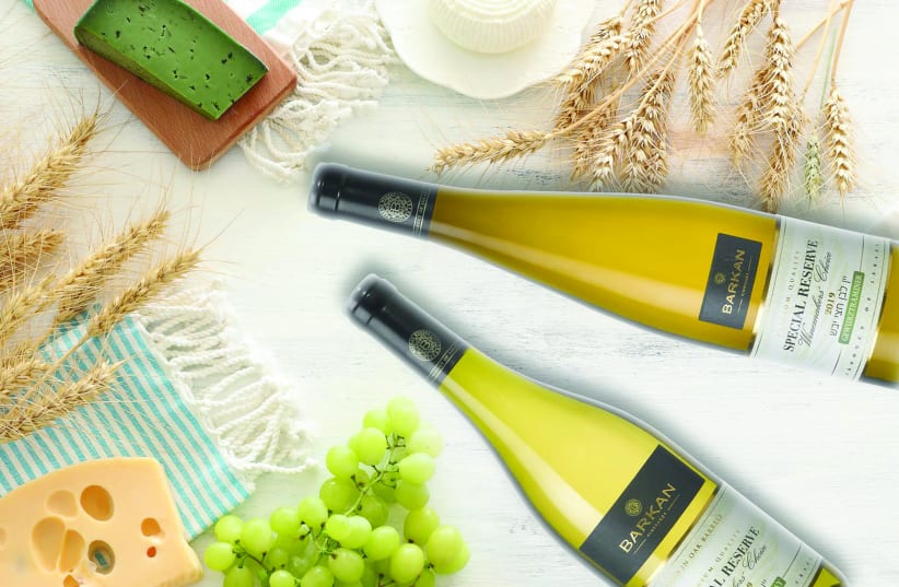 WHITE WINES go best with cheese and our climate. Barkan is Israel’s largest winery (photo credit: BARKAN WINERY)
