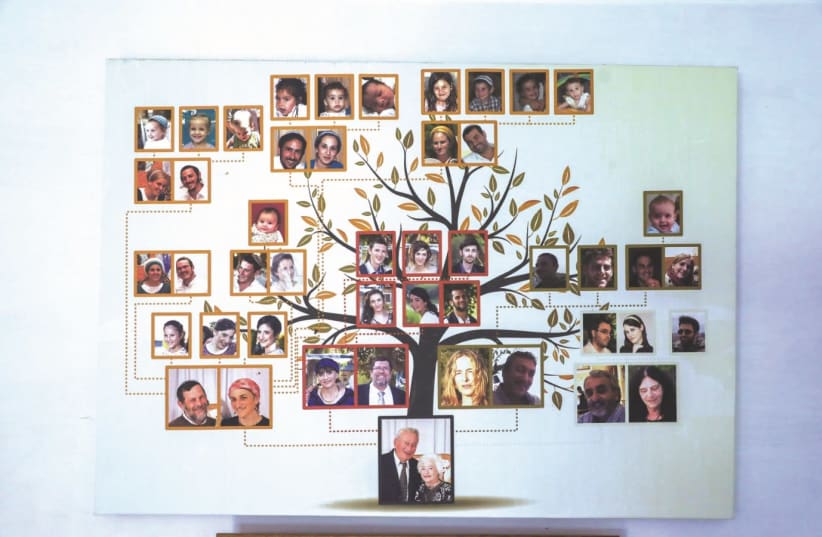 The family tree decorating Dvora Waysman’s home. She now has four children, 18 grandchildren and more than 30 grandchildren. (photo credit: Courtesy)