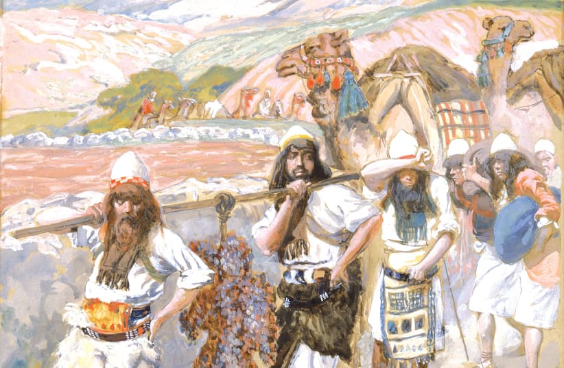 ‘The Grapes of Canaan’ painted circa 1896-1902 by James Jacques Joseph Tissot, The Jewish Museum, New York. (photo credit: Wikimedia Commons)