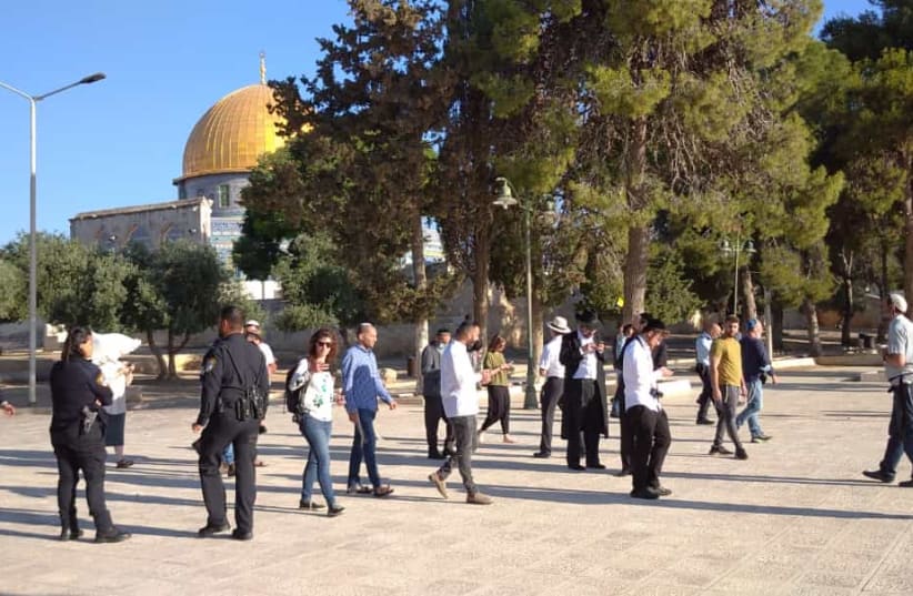 Jews visit Temple Mount after closure during Operation Guardian of the Walls. (photo credit: OR NEHEMIAH AHARONOV)
