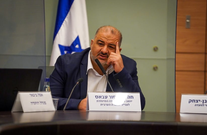 MK Mansour Abbas at the Knesset's Special Committee on Arab Society Affairs discussion of recent arrests in the sector. (photo credit: NOAM MOSKOVITZ/KNESSET)