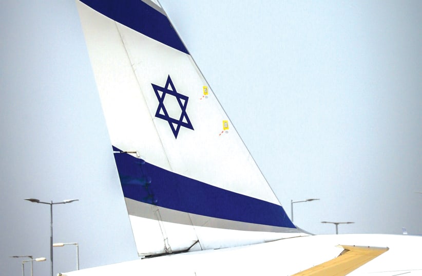 EL AL – THEY ARE prickly on the outside... but they have a heart of gold. (photo credit: YOSSI ALONI/FLASH90)