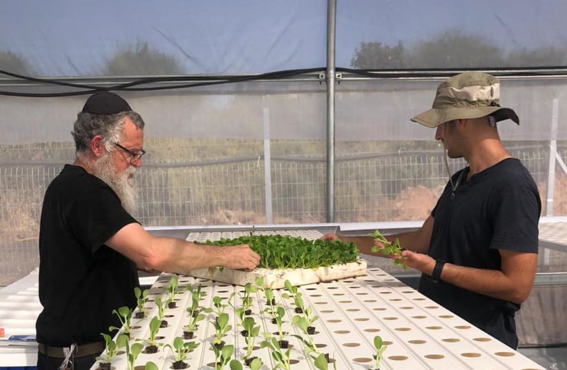 A hydroponic farm supported with a grant from the Natan Fund (photo credit: Courtesy)