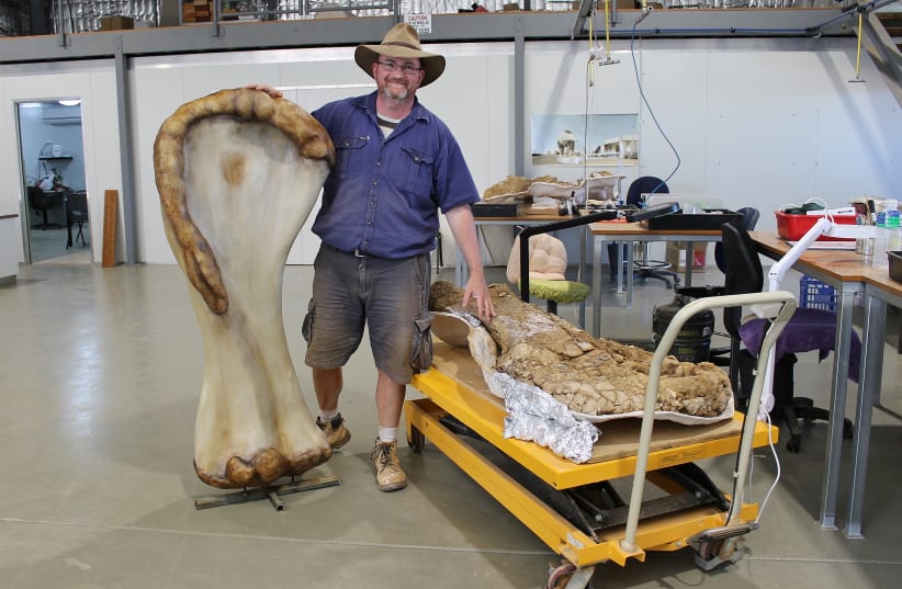 Dr. Scott Hocknull poses with a 3D reconstruction and the humerus bone of "Cooper," a new species of dinosaur discovered in Queensland and recognised as the largest ever found in Australia, in this undated handout image made available to Reuters on June 8, 2021 in Eromanga, Australia. (photo credit: EROMANGA NATURAL HISTORY MUSEUM/HANDOUT VIA REUTERS)