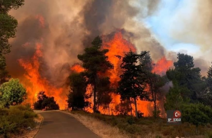 Fire near Abu Gosh, Neve Ilan, June 9, 2021 (photo credit: TOUFIK MANSOUR)