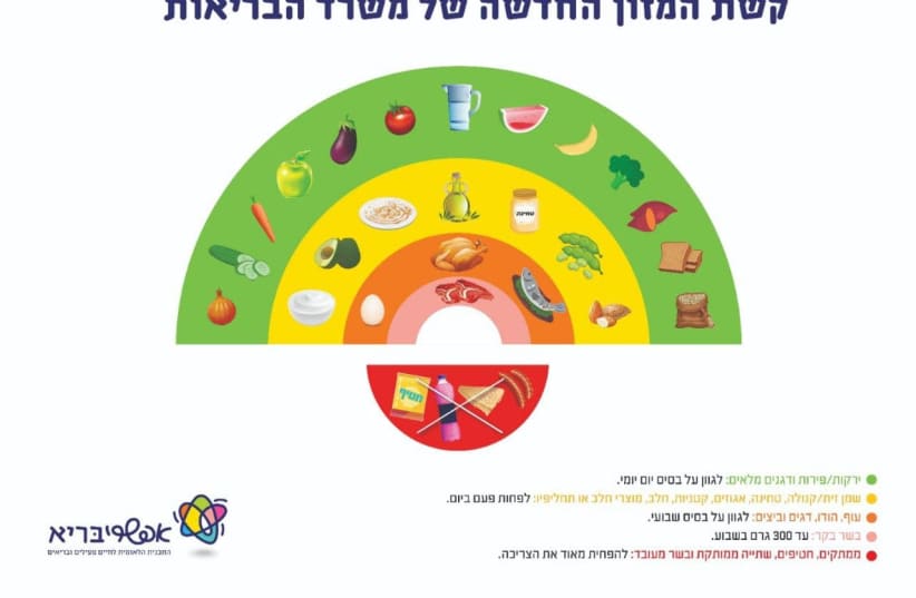 The Health Ministry's new chart on healthy food consumption. (photo credit: HEALTH MINISTRY)