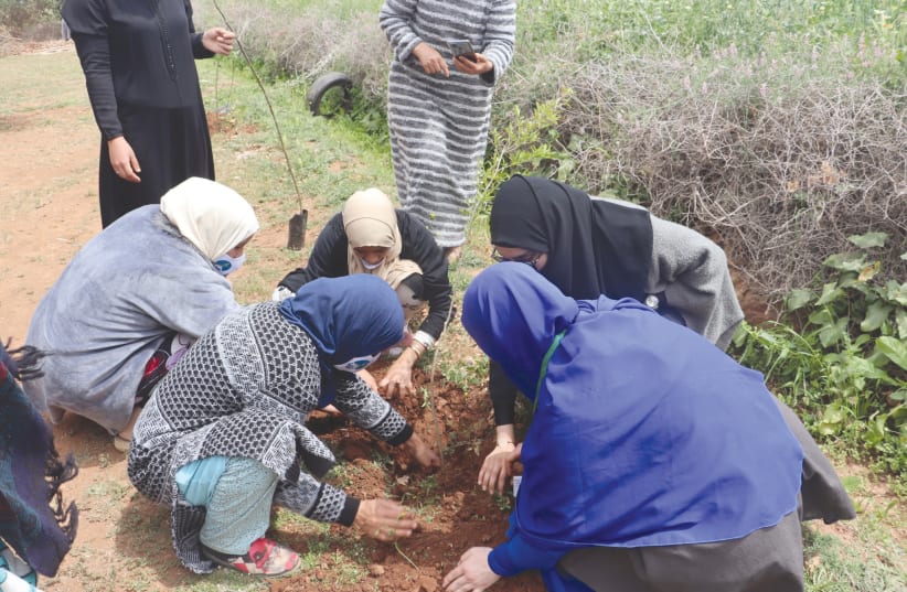 WOMEN PLANT an olive tree in the Marrakech-Safi region of Morocco.WOMEN PLANT an olive tree in the Marrakech-Safi region of Morocco. (photo credit: COURTESY HIGH ATLAS FOUNDATION)