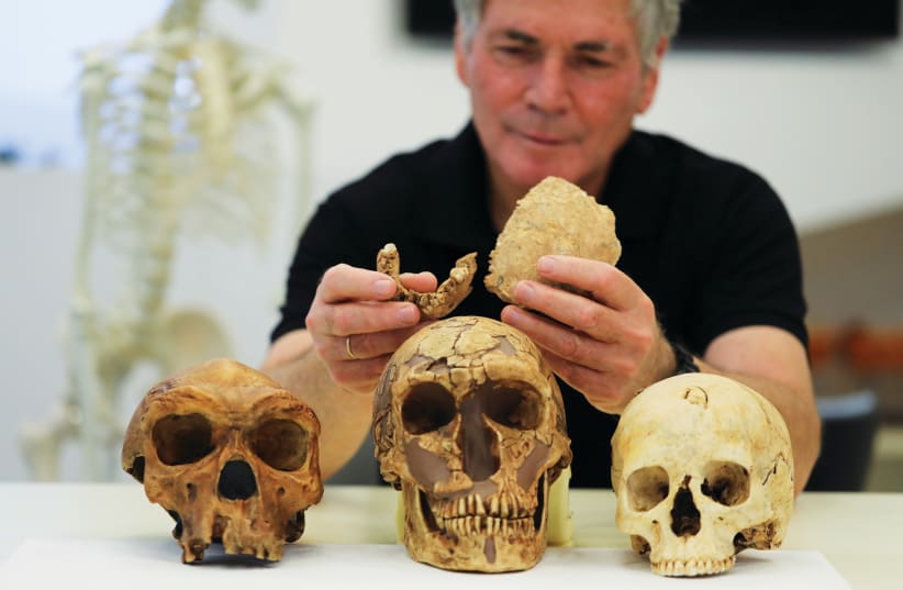 TEL AVIV UNIVERSITY Prof. Israel Hershkovitz holds what scientists say are two pieces of fossilized bone of a previously unknown kind of early human discovered at the Nesher Ramla site. (photo credit: AMMAR AWAD/REUTERS)