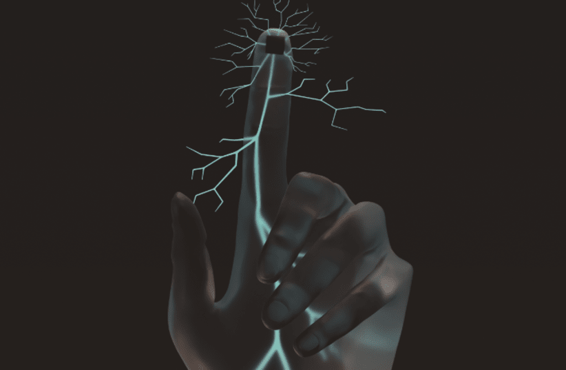 Nerve pain illustration (photo credit: COURTESY TEL AVIV UNIVERSITY)