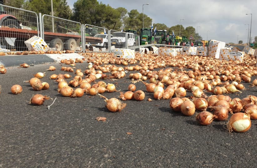 Onions spilled on a road by farmers protesting the agricultural reform, July 29th, 2021 (photo credit: FARMER PROTEST HEADQUARTERS)