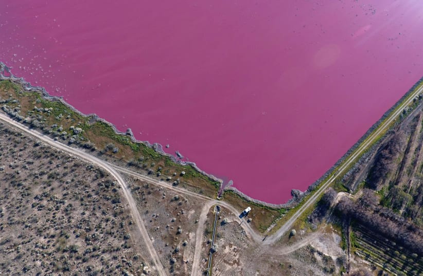 Aerial view of the Corfo lagoon, that turned pink due to chemical waste pollution, in Trelew, Chubut, Argentina July 29, 2021. Picture taken July 29, 2021 with a drone. (photo credit: DANIEL FELDMAN/HANDOUT VIA REUTERS)