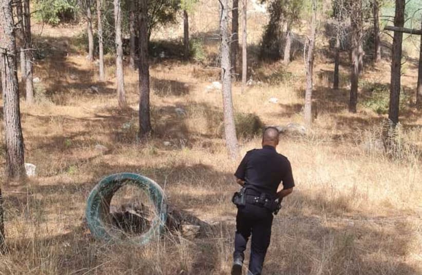 An Israeli policeman searches for the body of a 46-year-old woman in northern Israel, August 6, 2021. (photo credit: ISRAEL POLICE)