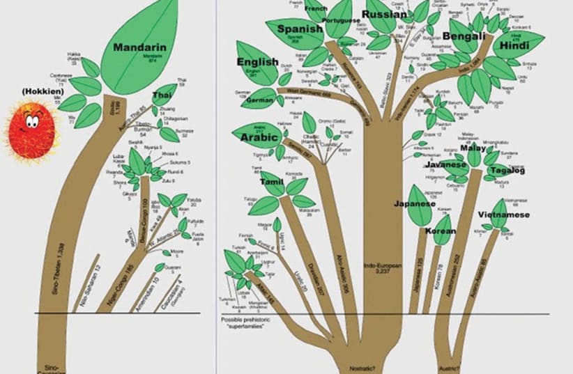 HUMAN LANGUAGES family tree, 2014 (photo credit: Courtesy)