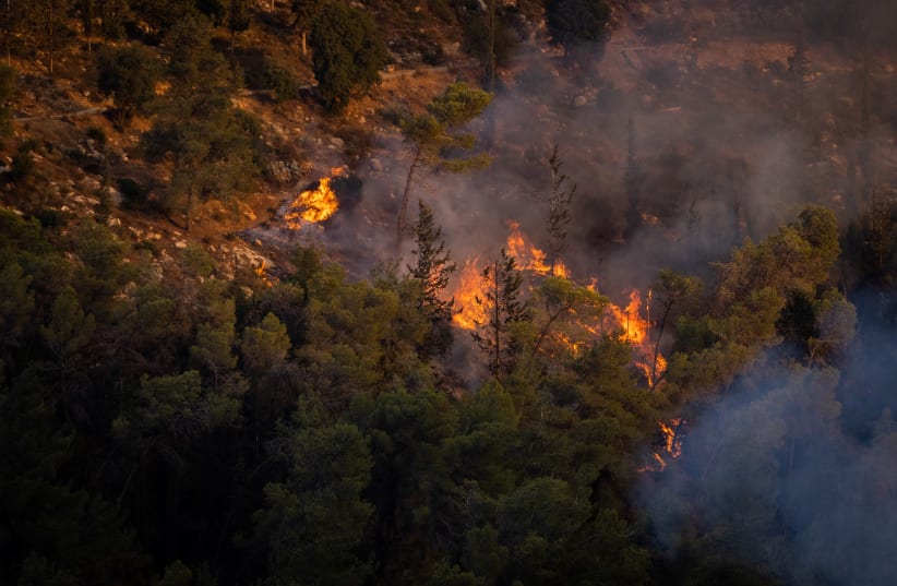  Israeli firefighters and citizens try to extinguish a fire which broke out in a forest near near Beit Meir, outside of Jerusalem on  August 15, 2021. (photo credit: YONATAN SINDEL/FLASH 90)