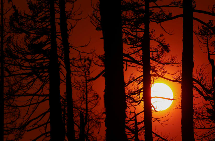  The sun sets behind burned trees and smoke from the Caldor Fire, in South Lake Tahoe, California, US. (photo credit: Fred Greaves/Reuters)