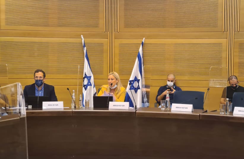  Wasserman Lande in the Knesset (photo credit: Courtesy)