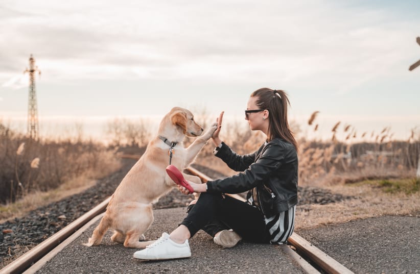  THERE ARE occasionally dogs I come to like. (photo credit: RICHARD BRUTYO/UNSPLASH)