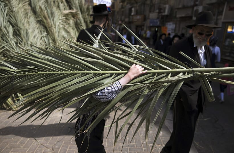  An ultra-Orthodox Jewish boy carries palm branches during preparations for the upcoming Jewish holiday of Sukkot in Jerusalem's Mea Shearim neighbourhood September 24, 2015. (photo credit: REUTERS/Ronen Zvulun)