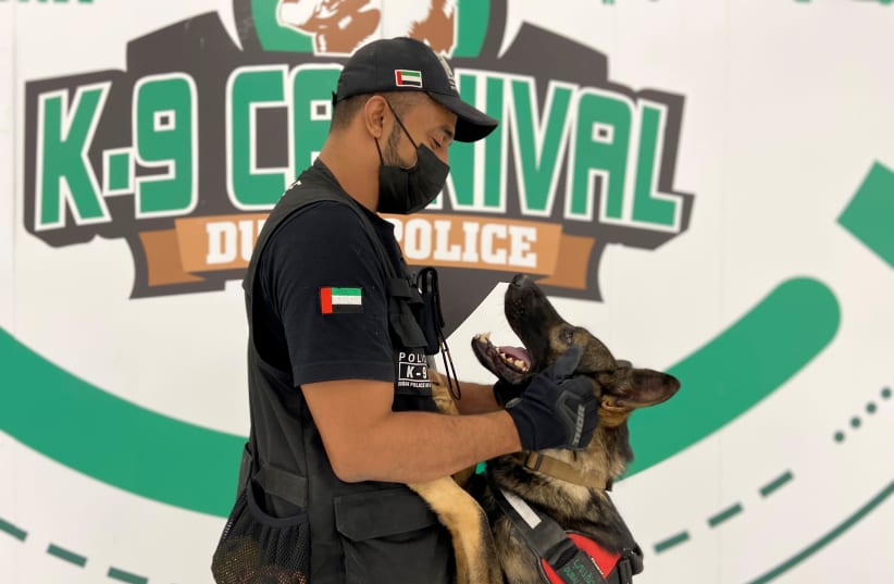  A dog that has been trained by Dubai Police K-9 unit to sniff out COVID-19 looks at his trainer in Dubai, United Arab Emirates, September 13, 2021. (photo credit: REUTERS/ABDEL HADI RAMAHI)