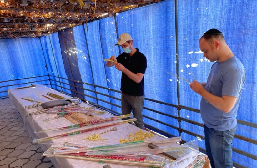  Jews in Kyrgyzstan preparing bindings for the Four Species ahead of the Sukkot holiday. (photo credit: THE ALLIANCE OF RABBIS IN ISLAMIC STATES)