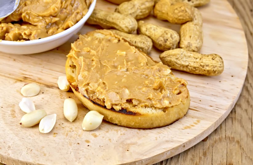  Peanut butter (photo credit: INGIMAGE)