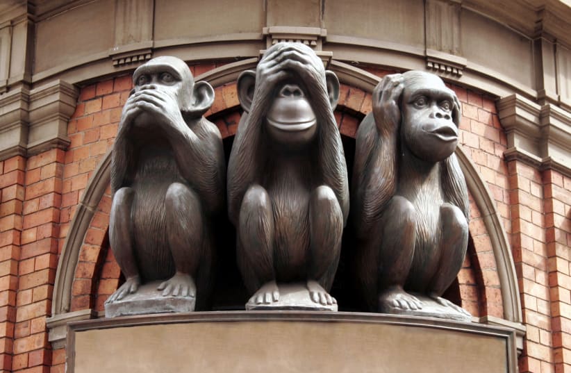 Three monkeys (photo credit: SHUTTERSTOCK)