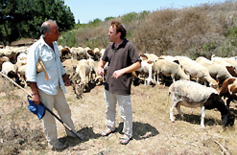 shepherd kibbutz hanaton 248.88 (photo credit: Ariel Jerozolimski)