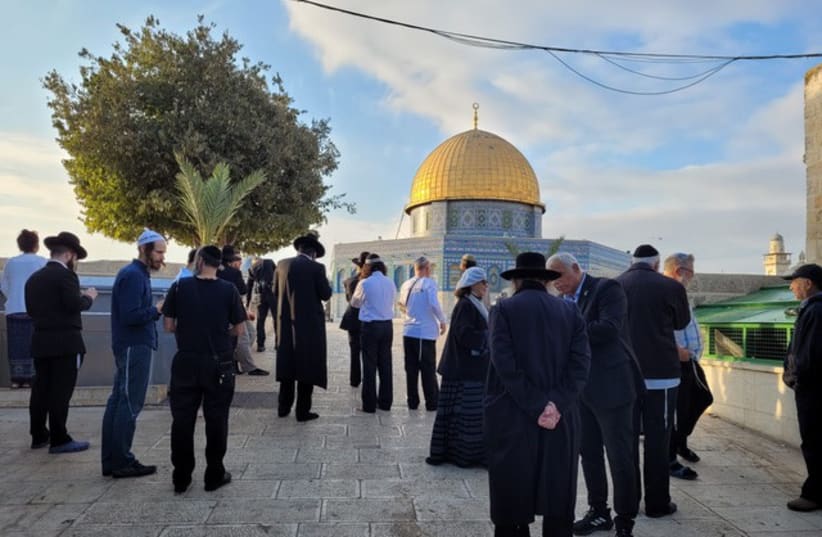   Jewish visitors on the Temple Mount on Wednesday. (photo credit: TEMPLE MOUNT ADMINISTRATION)
