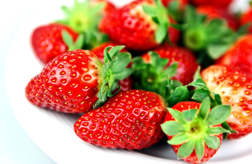  Strawberries (photo credit: INGIMAGE)