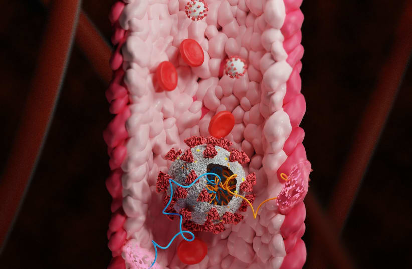 COVID-19 is seen in a blood vessel (Illustrative). (photo credit: TEL AVIV UNIVERSITY)