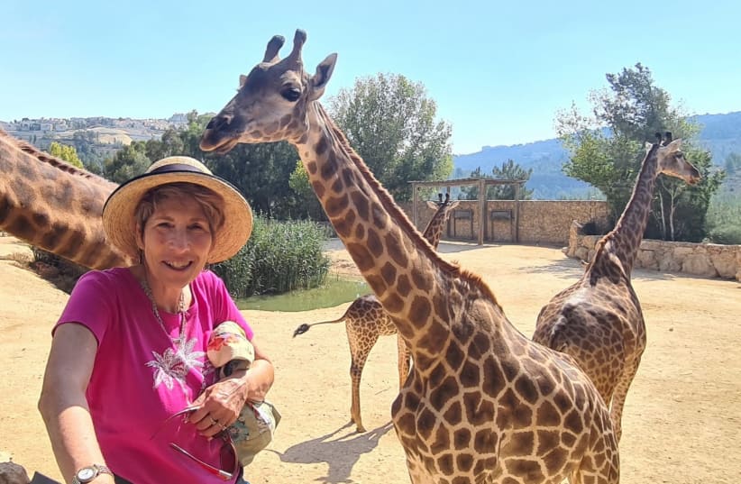  SUSIE HANDELMAN on safari in  Jerusalem. (photo credit: Rachael Risby Raz)
