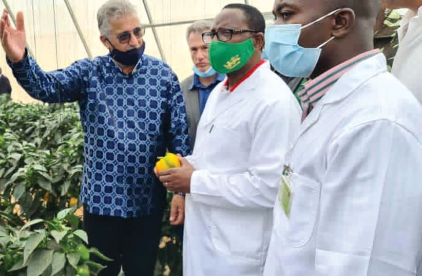  Gess takes President Chakwera on a tour of the tomato greenhouses. (photo credit: Courtesy)
