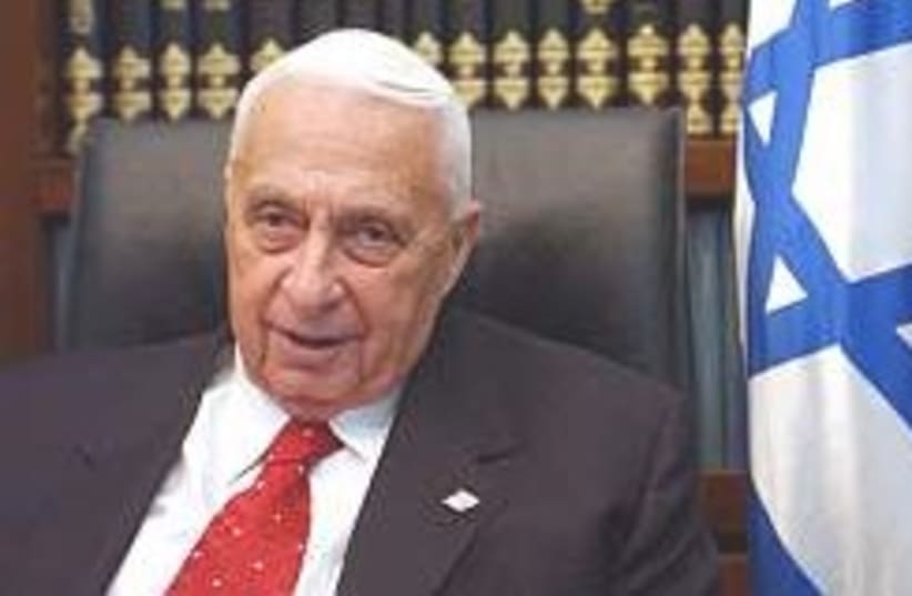 Ariel Sharon slumps 248.88 (photo credit: Ariel Jerozolimski)